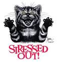 Help For Your Stressed Out Kitty